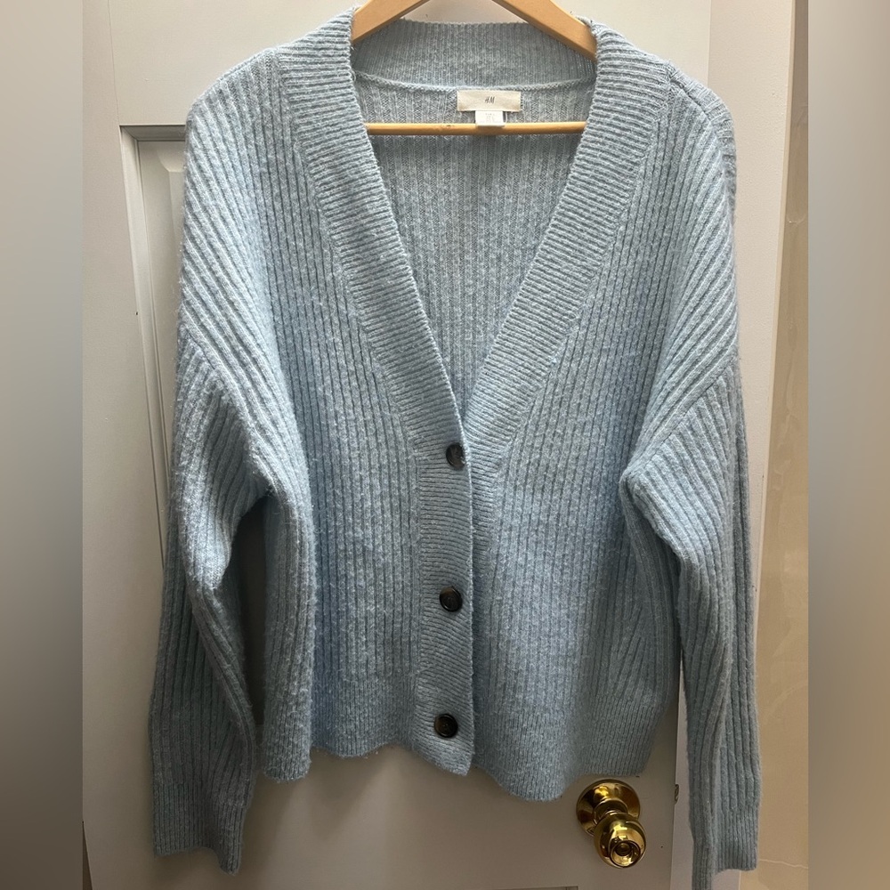 H&M baby blue cardigan in large